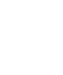 PMU at RIZZIERI formerly BEAU INSTITUTE logo